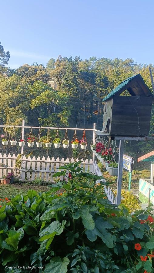 Mohraj Home Stay Bhowali Kültér fotó