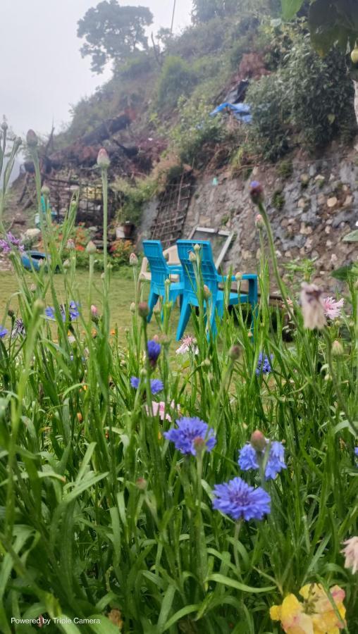 Mohraj Home Stay Bhowali Kültér fotó