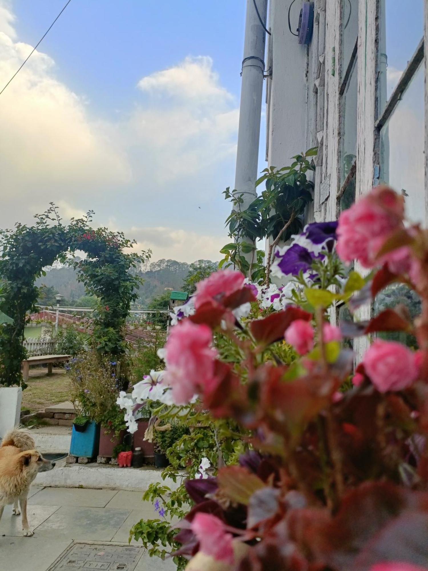 Mohraj Home Stay Bhowali Kültér fotó